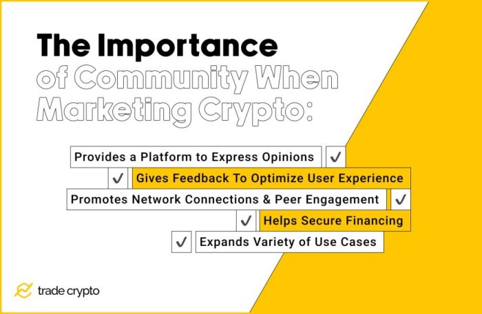 What Makes a Crypto Project Successful?