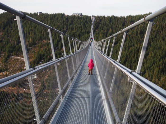 The Most Common Mistakes New Crypto Investors Make