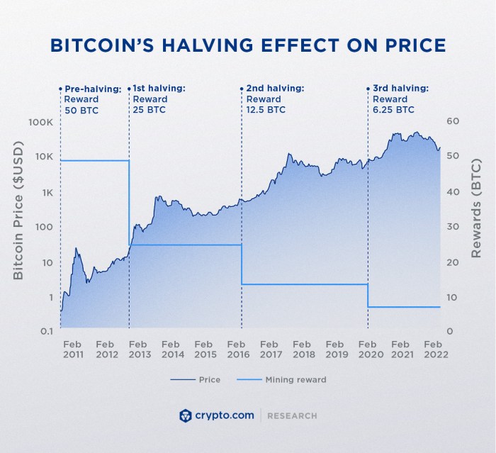 How Halving Events Affect Bitcoin Price