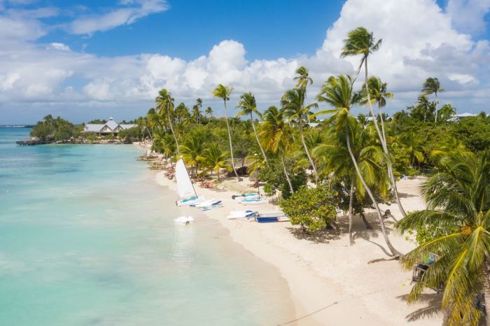 Best Crypto Trading Strategies for Consistent Profit