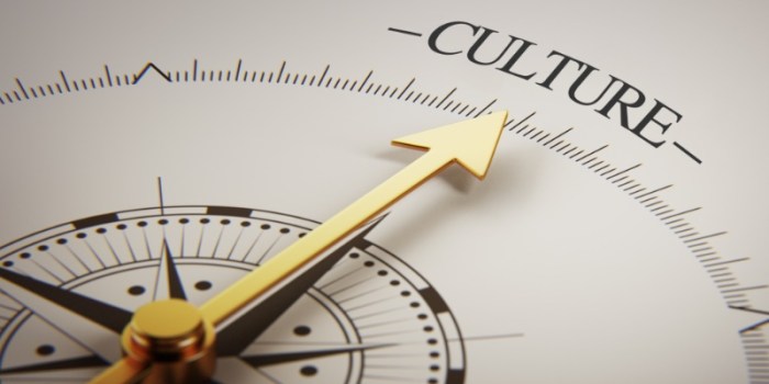 Magnesium: The Missing Mineral for Modern Health - Moonflower Community ...