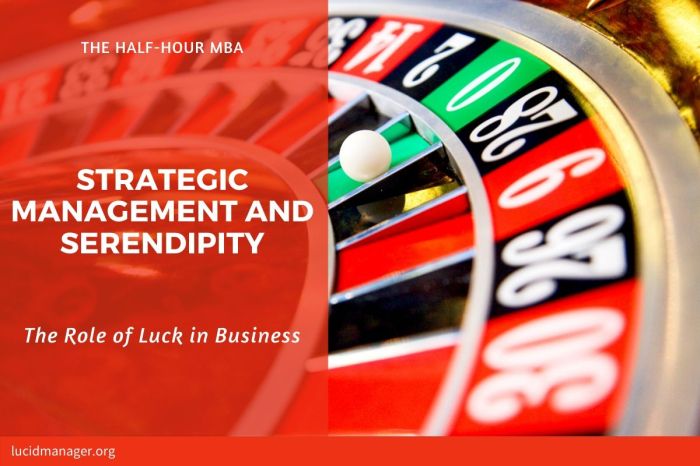 Strategic Management and Serendipity — Luck in Business