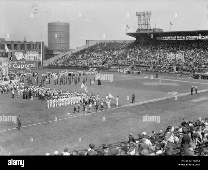 How to Track Whale Movements in the Crypto Market