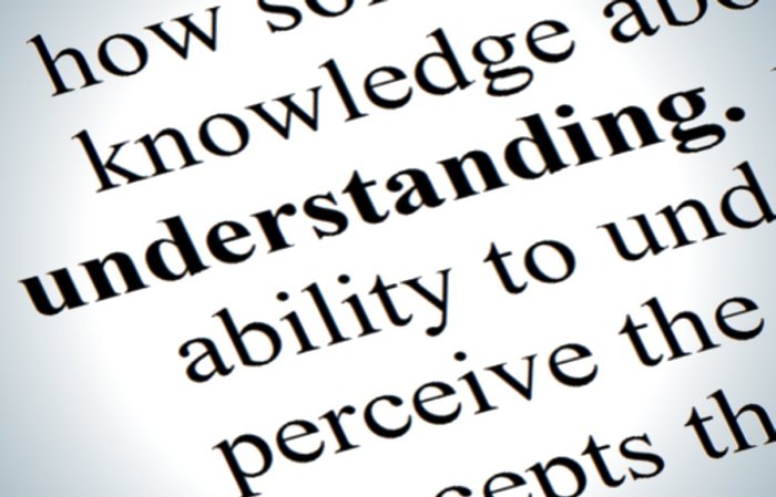 Understanding